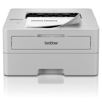 Принтер Brother HL-L2865DW 523559 фото