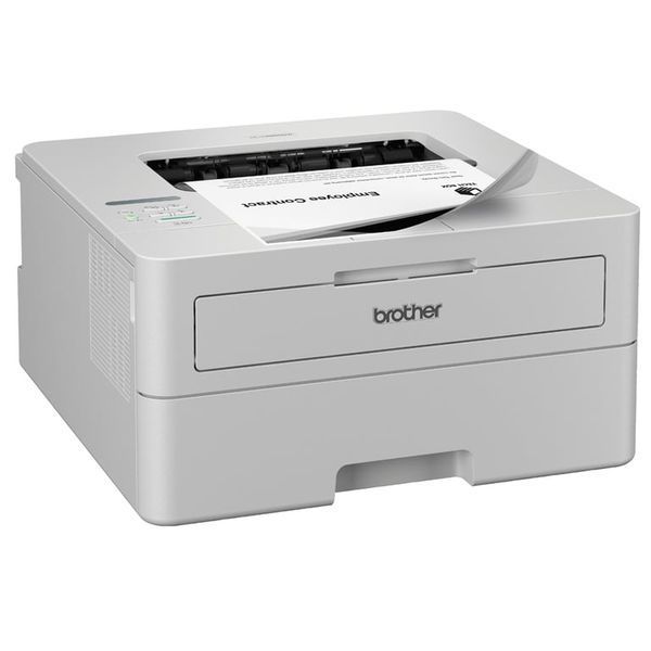 Принтер Brother HL-L2865DW 523559 фото