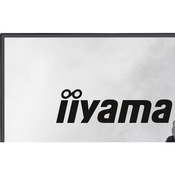 Монитор Iiyama G-Master G2441HSU-B1 618189ua фото