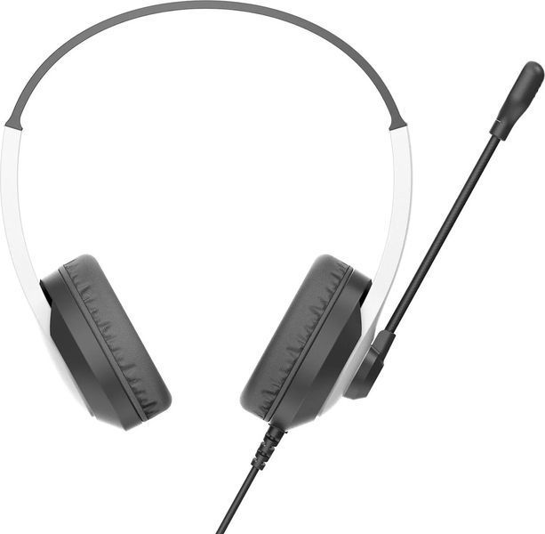 Наушники с микрофоном A4Tech FH100U Panda 579323ua фото