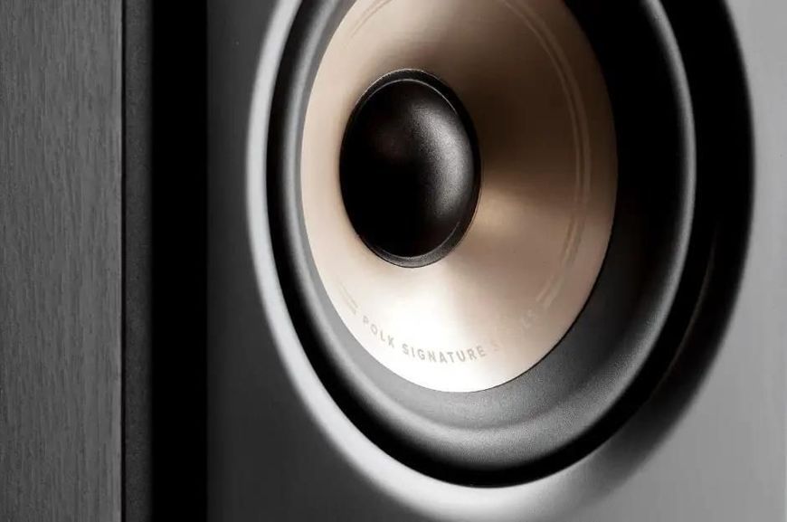 Фронтальные акустические колонки Polk Audio Signature Elite ES10 Black 588358 фото