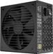 Блок питания Fractal Design Ion Gold 750W D-P-IA2G-750-EU (FD-P-IA2G-750) 338871 фото 2