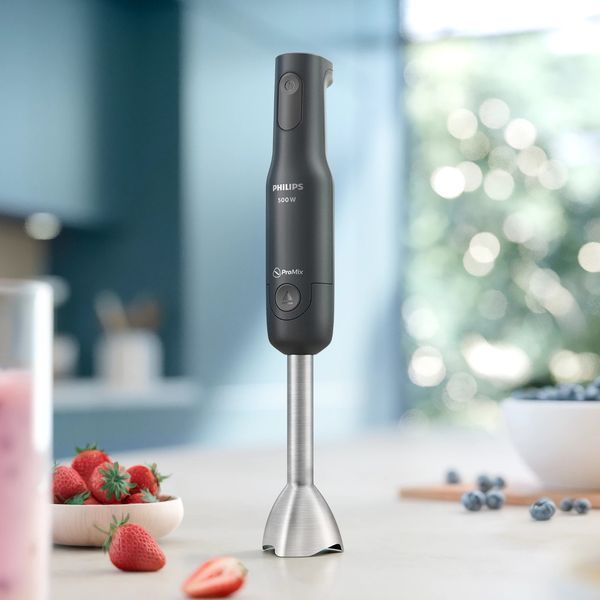 Занурюваний блендер Philips Series 1000 HR2522/00 619584ua фото