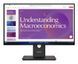 Монитор Lenovo ThinkVision T24D-40 620413 фото 1