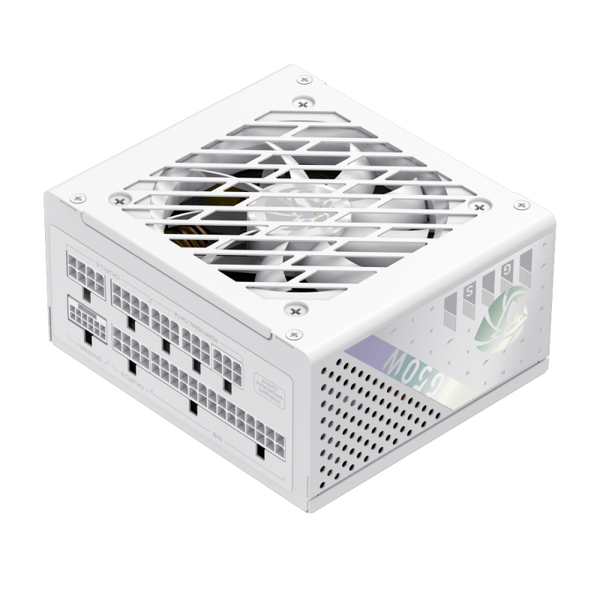 Блок питания GameMax GS-650G V25 White 630409ua фото