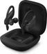 Навушники TWS Beats by Dr. Dre Powerbeats Pro Black (MV6Y2) 533187ua фото 6