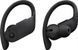 Навушники TWS Beats by Dr. Dre Powerbeats Pro Black (MV6Y2) 533187ua фото 2