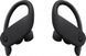 Навушники TWS Beats by Dr. Dre Powerbeats Pro Black (MV6Y2) 533187ua фото 1