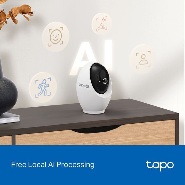 IP-камера відеоспостереження TP-Link Tapo C260 618481ua фото