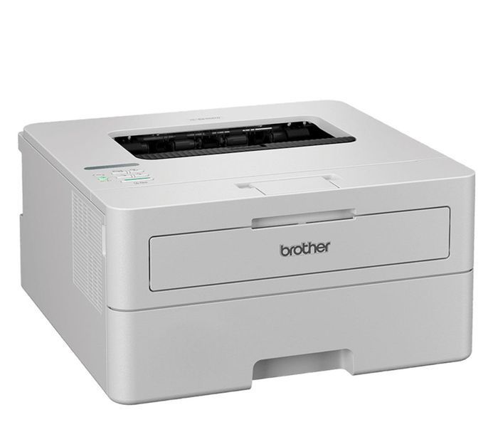 Принтер Brother HL-B2180DW 529840 фото