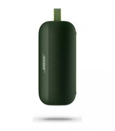 Портативная колонка Bose Soundlink Flex Bluetooth Cypress Green 511972ua фото
