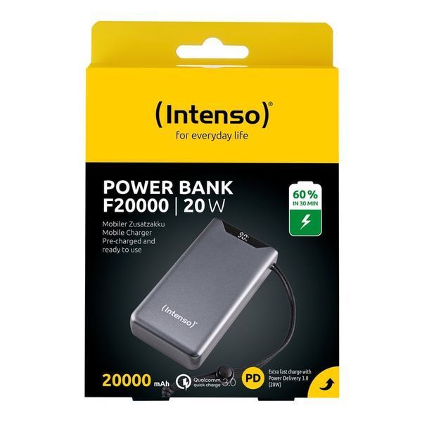 Внешний аккумулятор (павербанк) Intenso F20000 20000mAh Grey (7332054) 613708ua фото