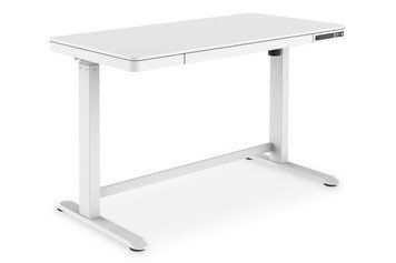 Письменный стол Digitus Electric Height Adjustable (DA-90406) 527338ua фото