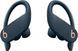 Навушники TWS Beats by Dr. Dre Powerbeats Pro Navy (MV702) 533189ua фото 1