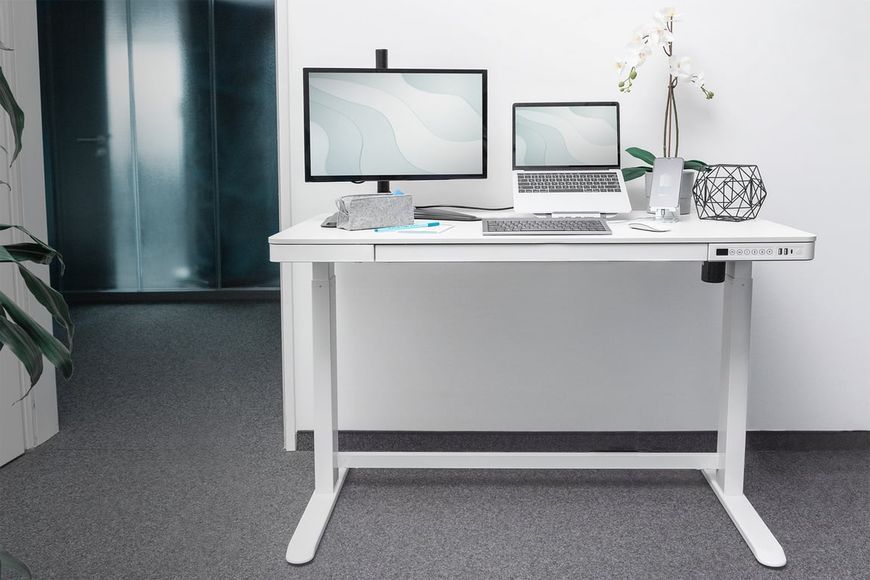 Письменный стол Digitus Electric Height Adjustable (DA-90406) 527338ua фото