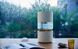 Увлажнитель воздуха Smartmi Rainforest Humidifier 462079 фото 8