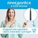 Электрическая зубная щетка Pecham Black Travel PC-080 577938ua фото 12