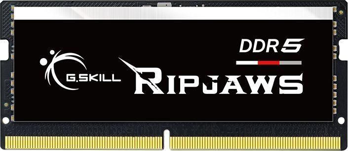 Память для ноутбуков G.Skill Ripjaws SO-DIMM 32 GB DDR5 4800 MHz (F5-4800S3434A16GX2-RS) 478073 фото