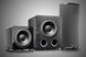 Сабвуфер SVS PB-2000 Pro Black Ash 135618 фото 5