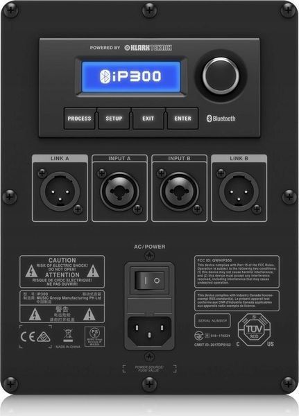 Акустическая система Turbosound iP300 565404 фото