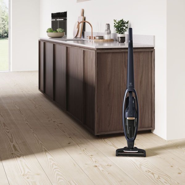 Вертикальний + ручний пилосос (2в1) Electrolux WQ71-P50IB 342408ua фото