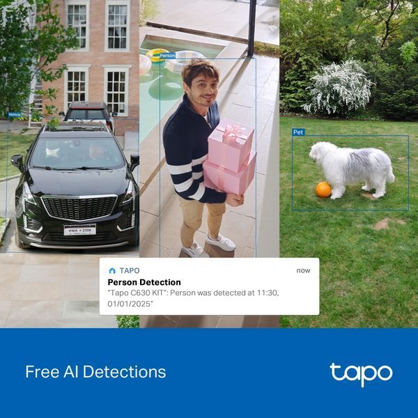 IP-камера відеоспостереження TP-Link Tapo C630 Kit 630372ua фото