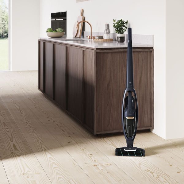 Вертикальний + ручний пилосос (2в1) Electrolux WQ71-P50IB 342408ua фото