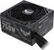 Блок питания Asus TUF Gaming 750W (90YE00D0-B0NA00) 340862ua фото 7