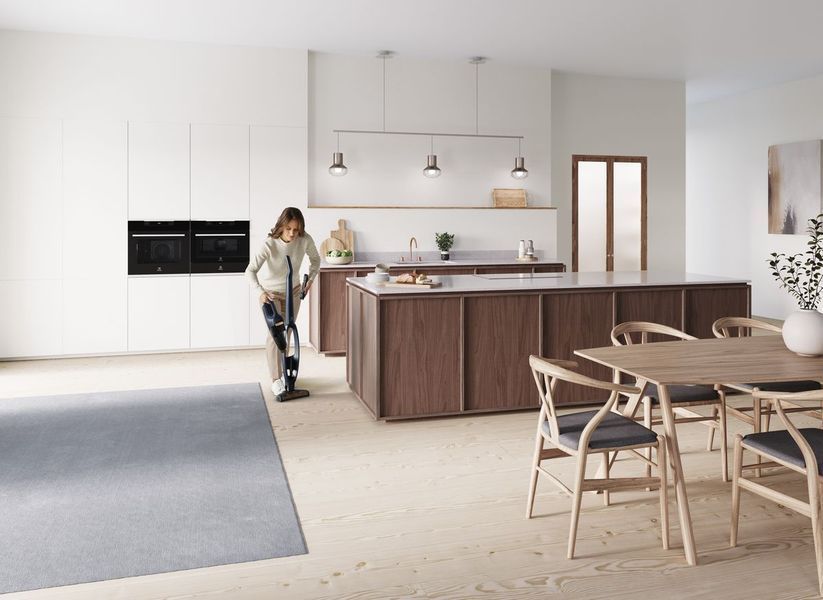 Вертикальний + ручний пилосос (2в1) Electrolux WQ71-P50IB 342408ua фото