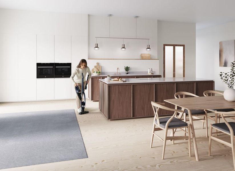Вертикальний + ручний пилосос (2в1) Electrolux WQ71-P50IB 342408ua фото
