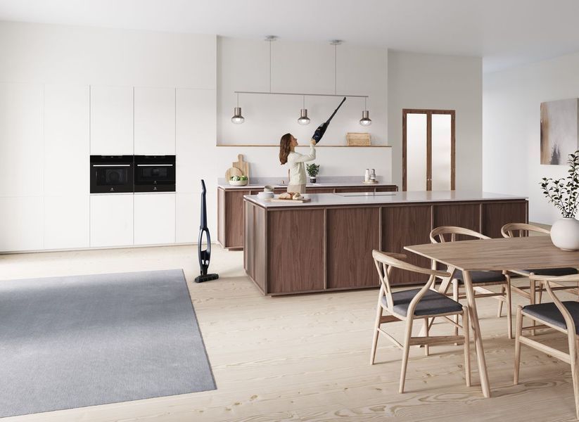 Вертикальний + ручний пилосос (2в1) Electrolux WQ71-P50IB 342408ua фото