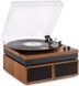 Проигрыватель виниловых дисков Fenton RP165 BT (102154) 489362 фото 6