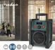 Радіоприймач Nedis RDDB3100GN 621531 фото 16