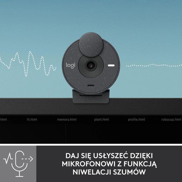 Веб-камера Logitech Brio 300 FHD Graphite (960-001436) 462865ua фото