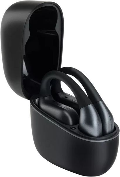 Наушники TWS Panasonic RB-F10DE-K 620683 фото