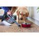 Автомобільний / ручний пилосос Black+Decker BHHV520BT-QW 374981ua фото 10