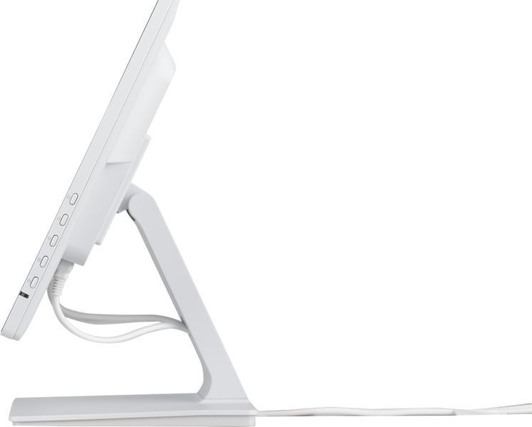 Монітор iiyama ProLite T2452MSC-W1 520373ua фото