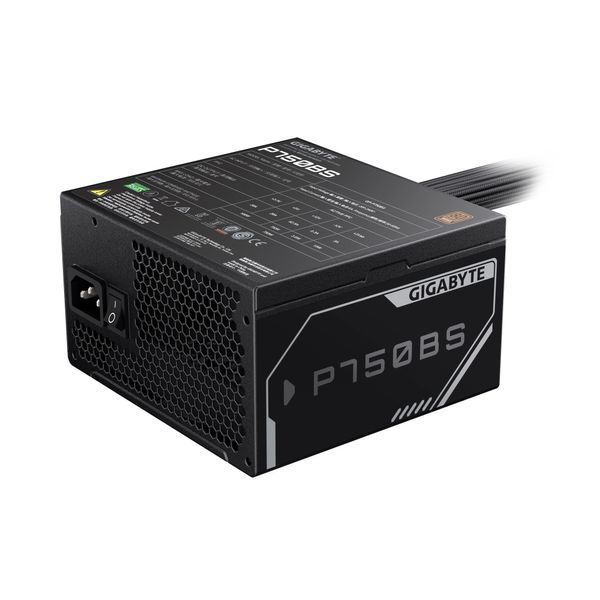 Блок питания Gigabyte P750BS (GP-P750BS) 572212ua фото