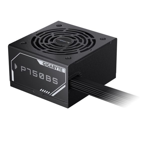 Блок питания Gigabyte P750BS (GP-P750BS) 572212ua фото