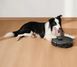 Робот-пилосос Eufy Robovac L60 Hybrid Black 529896 фото 4