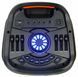 Портативные колонки Manta SPK5310Pro 353716 фото 2