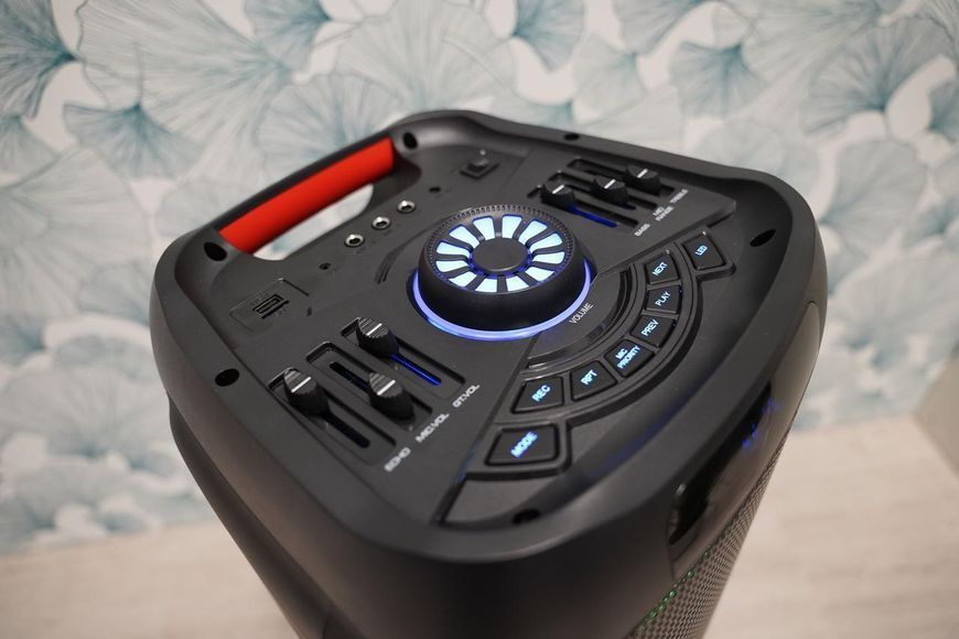 Портативные колонки Manta SPK5310Pro 353716 фото