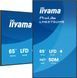Информационный дисплей Iiyama LH6575UHS-B2AG 619822 фото 5