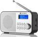Радіоприймач GoGEN DAB 300 N Silver 496413 фото 1