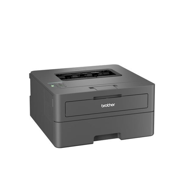 Принтер Brother HL-L2400DWE 523556 фото