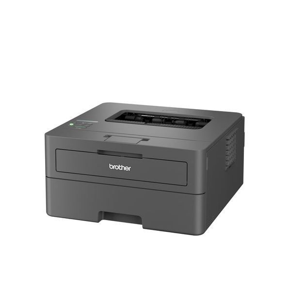 Принтер Brother HL-L2400DWE 523556 фото