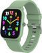 Смарт-часы Denver SWK-120 Green 621687 фото 1