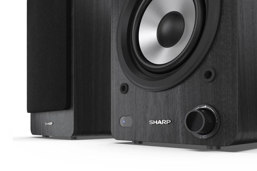 Фронтальные акустические колонки Sharp CP-SS30 Black (2-Pack) 464009 фото