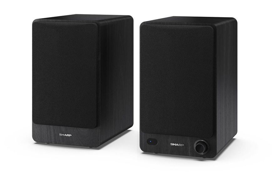 Фронтальные акустические колонки Sharp CP-SS30 Black (2-Pack) 464009 фото