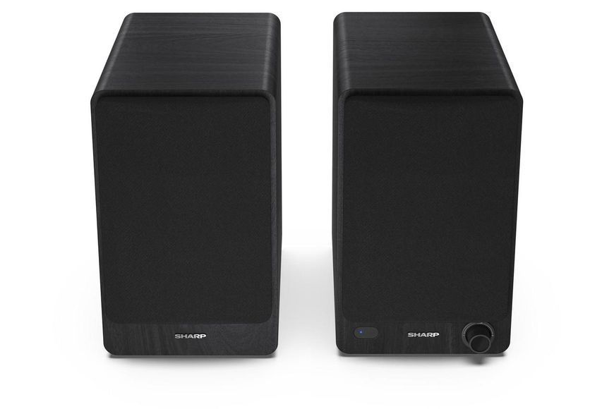 Фронтальные акустические колонки Sharp CP-SS30 Black (2-Pack) 464009 фото